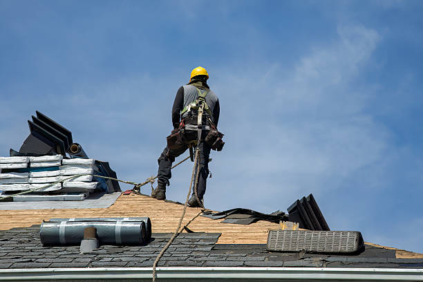 Professional Storm Damage Roof Repair technician working in Hiseville, KY